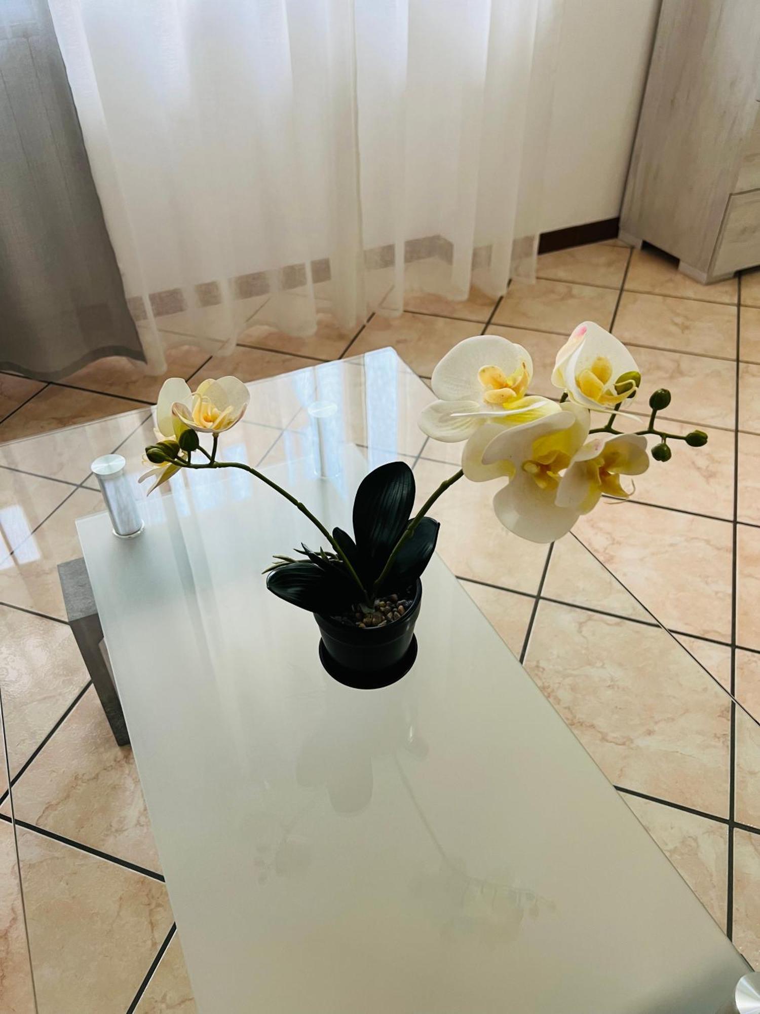 Casa Vacanza Elena 2 Verona Luaran gambar